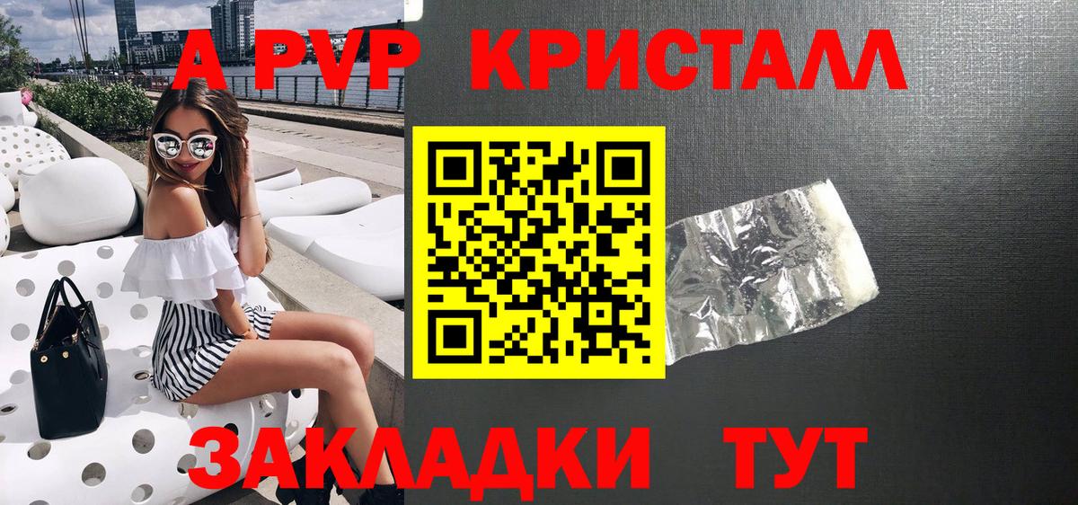 Альфа ПВП СК Гудермес