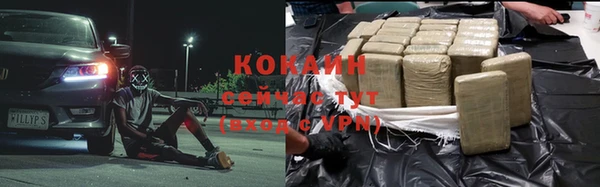 ГАЛЛЮЦИНОГЕННЫЕ ГРИБЫ Белокуриха