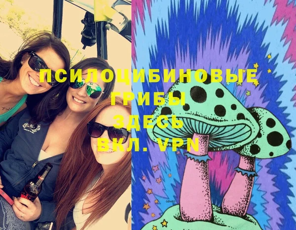 mix Вязьма