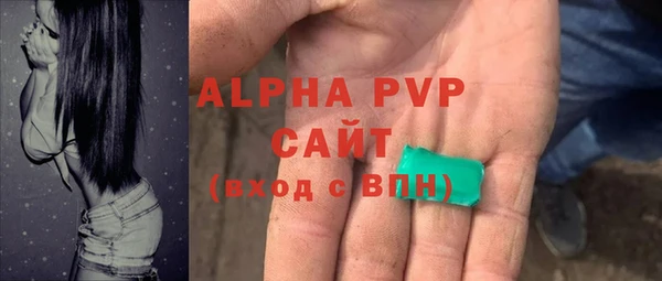 ГАЛЛЮЦИНОГЕННЫЕ ГРИБЫ Белокуриха
