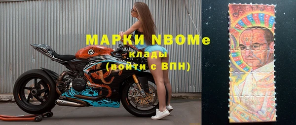 ГАЛЛЮЦИНОГЕННЫЕ ГРИБЫ Белокуриха