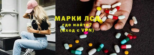 ГАЛЛЮЦИНОГЕННЫЕ ГРИБЫ Белокуриха