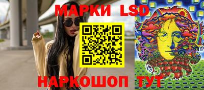 стаф Дубна