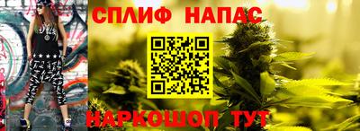 COCAINE Гатчина