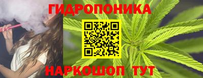 бошки Гагарин